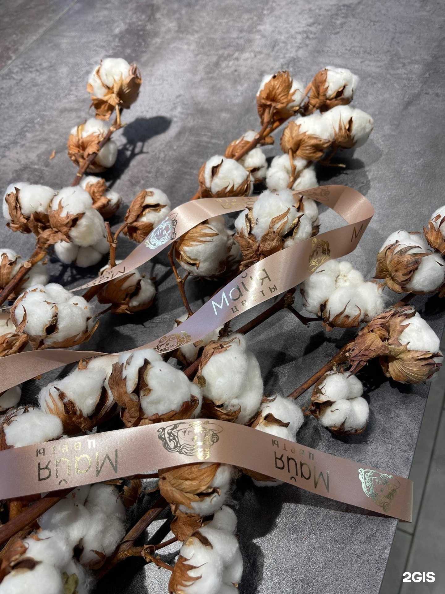 Отзывы на компанию Цветы Майя в Курске c фото