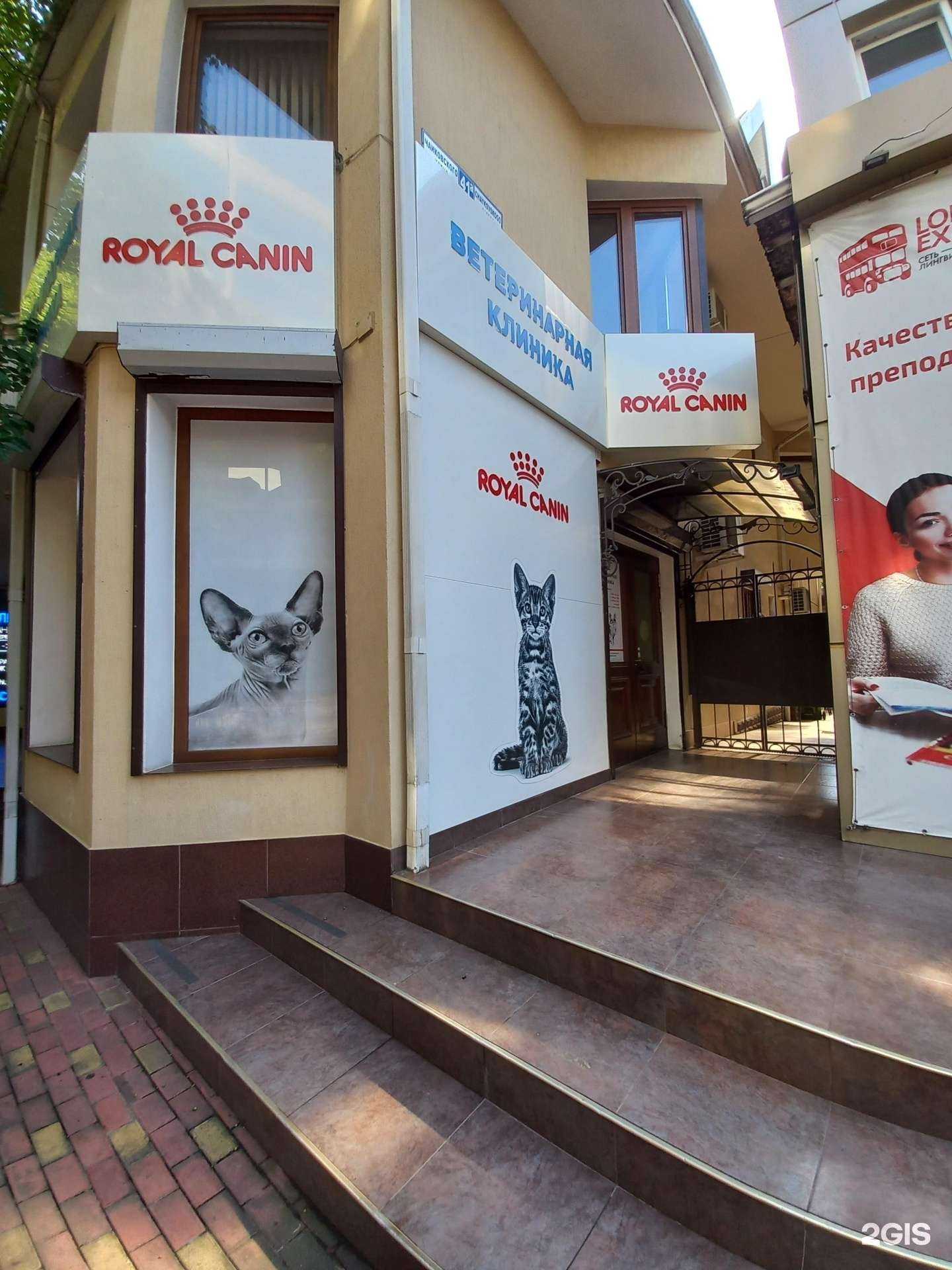 Отзывы на компанию Вита Плюс в Сочи c фото