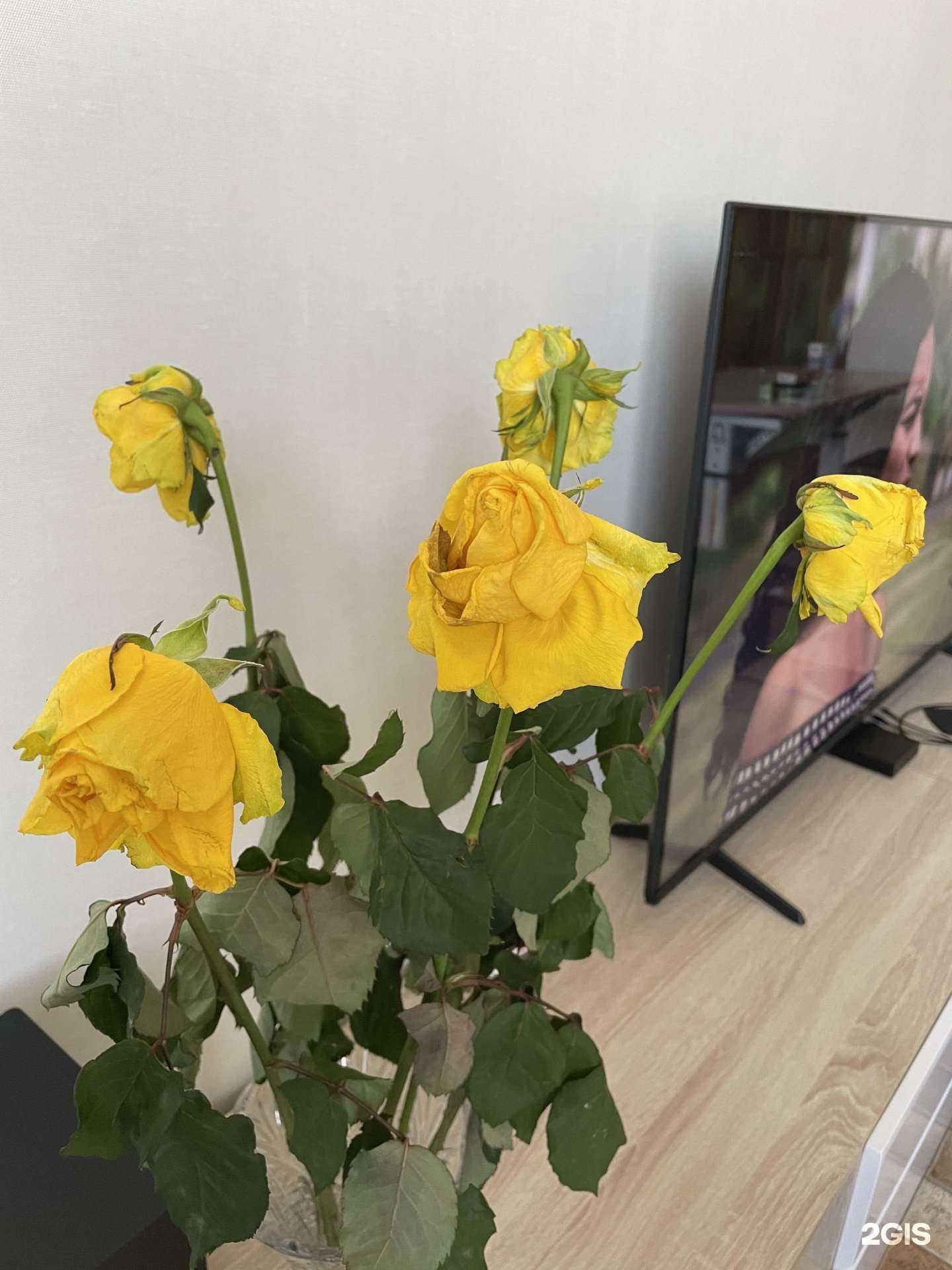 Отзывы на компанию Цветочный салон в Волгограде c фото