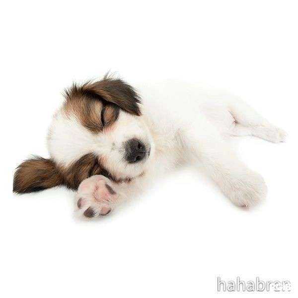 Отзывы на компанию Открытие в г. Томск c фото