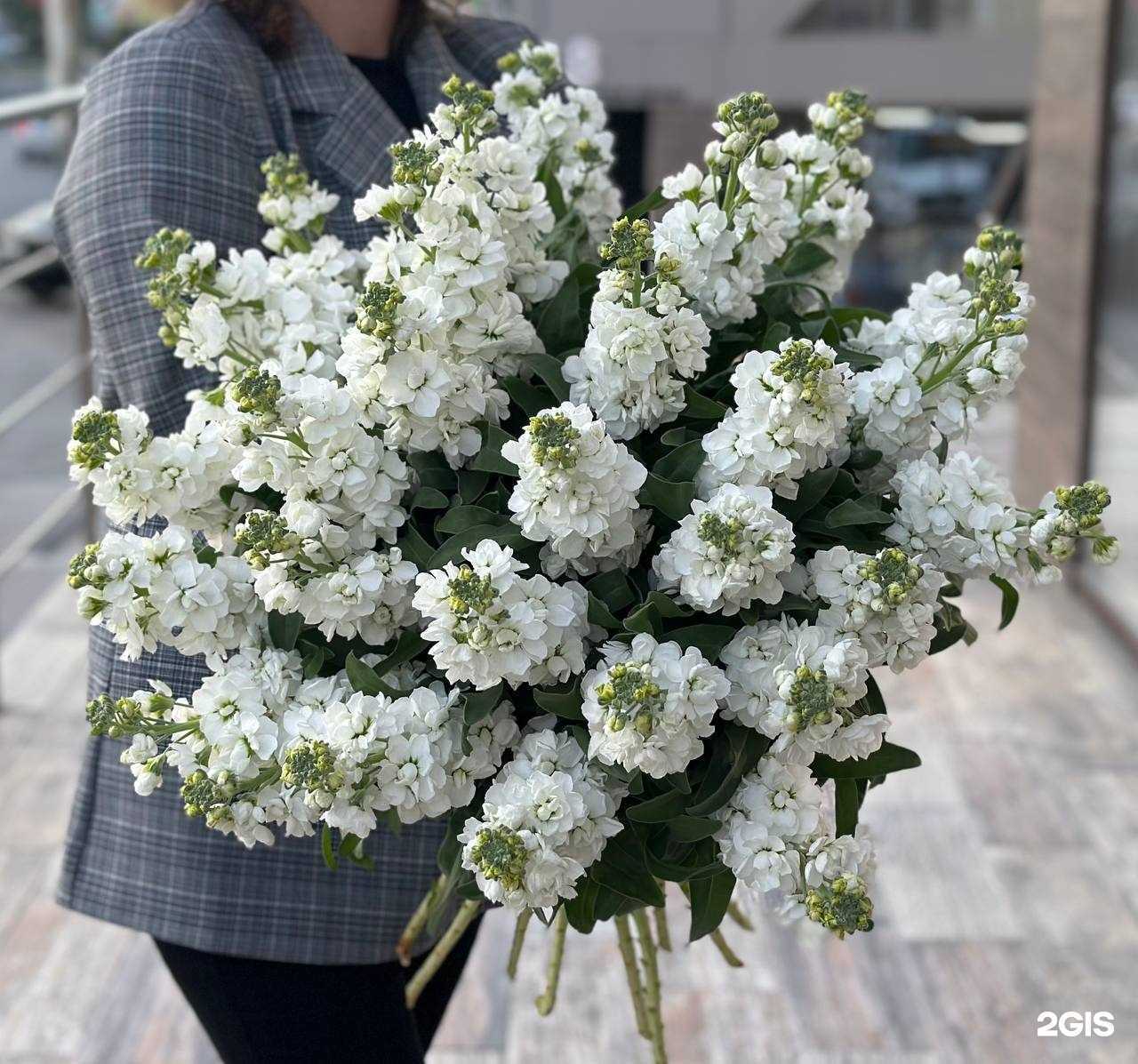 Отзывы на компанию Мастер Букет в г. Новороссийск c фото