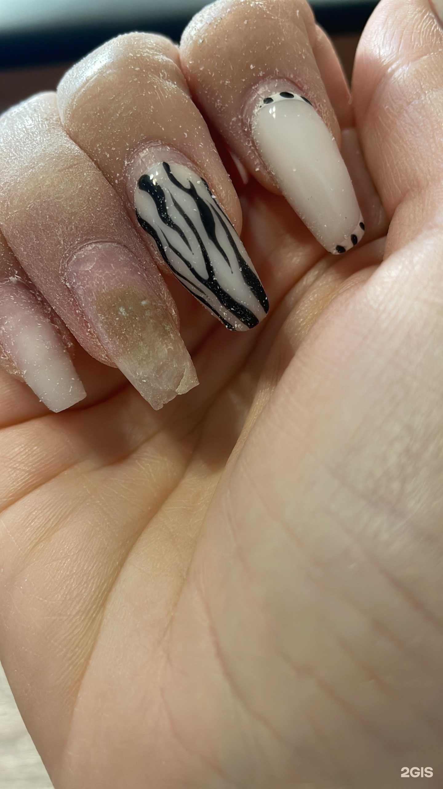 Отзывы на компанию Сакура в Сочи c фото