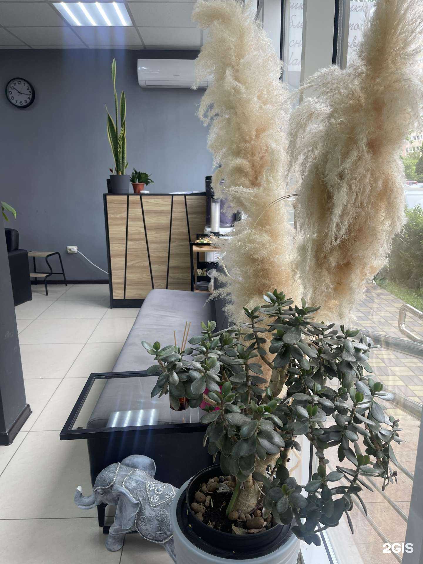 Отзывы на компанию Форма Цвета в Краснодаре c фото