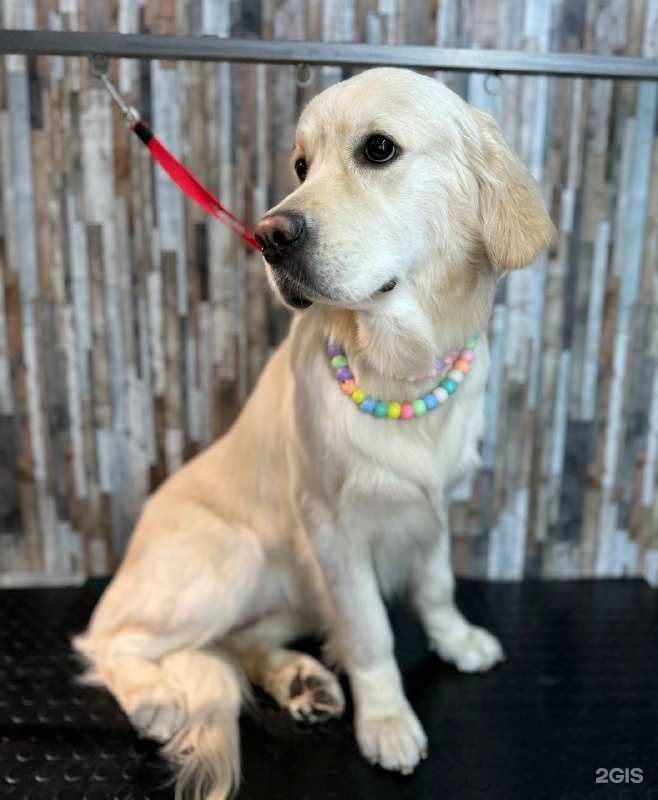 Отзывы на компанию Амор в г. Иркутск c фото