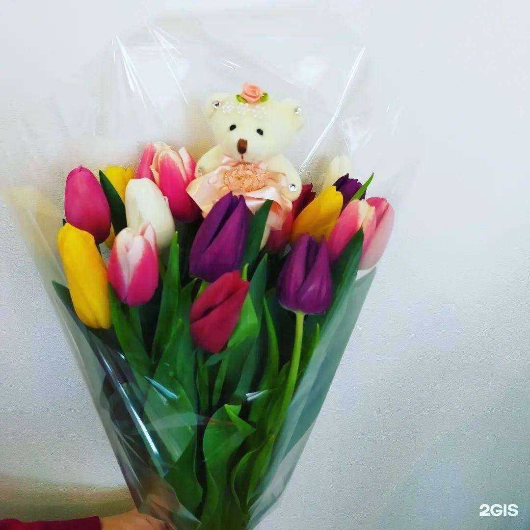 Отзывы на компанию Клевер в Фролове c фото