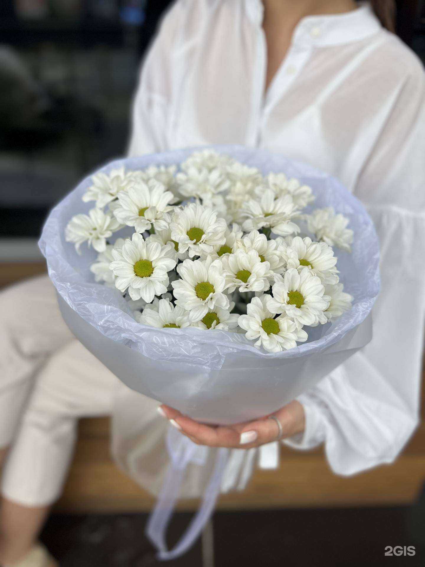 Отзывы на компанию Зеленая орхидея в Омске c фото