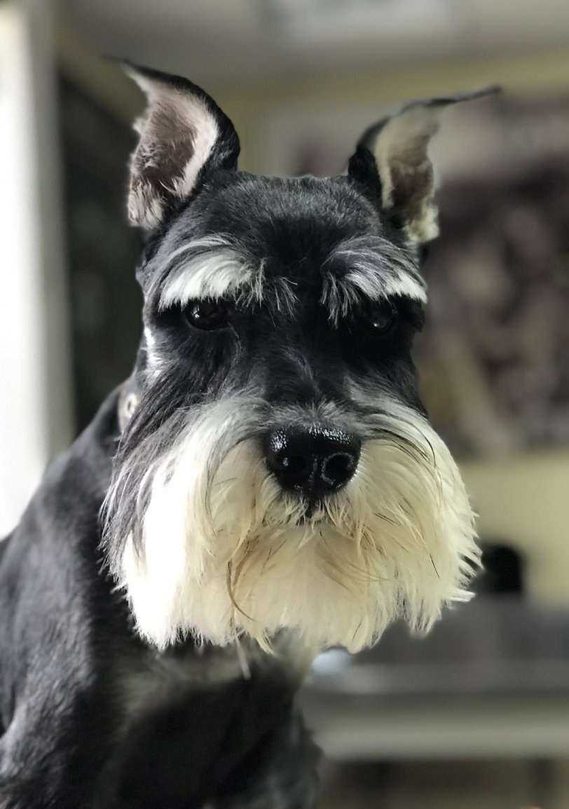 Отзывы на компанию АльфаВет в Улан-Удэ c фото