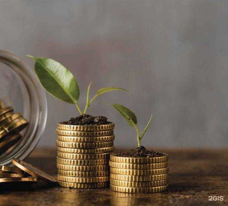 Отзывы на компанию Мой бизнес в Тамбове c фото