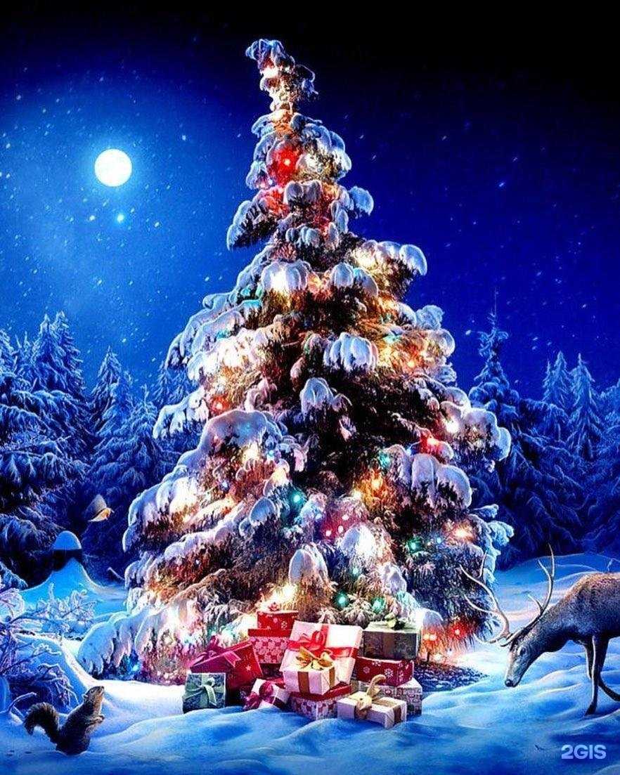 Отзывы на компанию Рамонь Агро в г. Белгород c фото