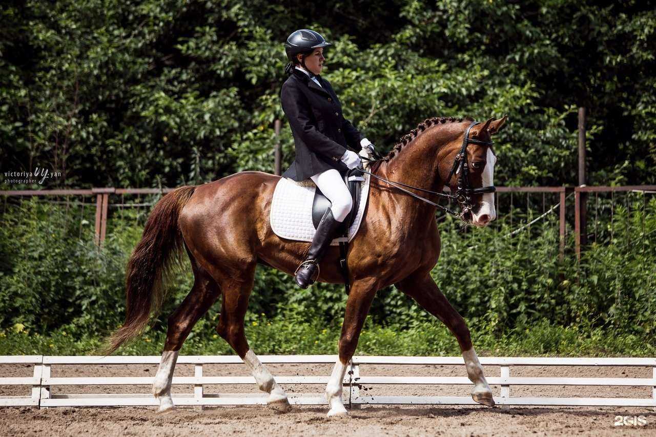 Отзывы на компанию Лидер в г. Новосибирск c фото