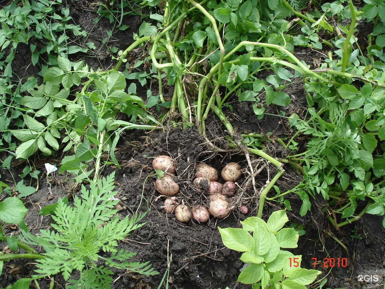 Отзывы на компанию Колнаг в Ставрополе c фото