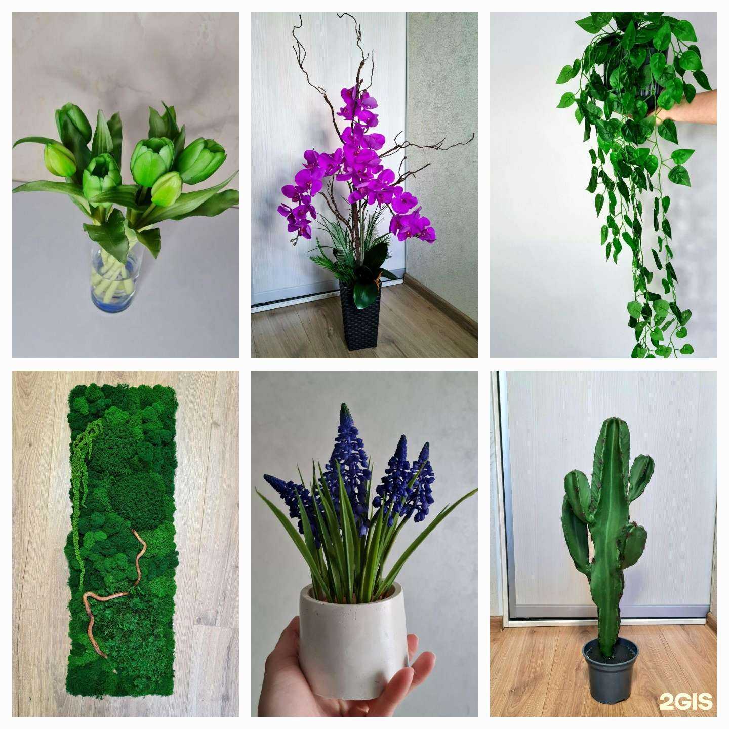 Отзывы на компанию Во Дерево  в Перми c фото