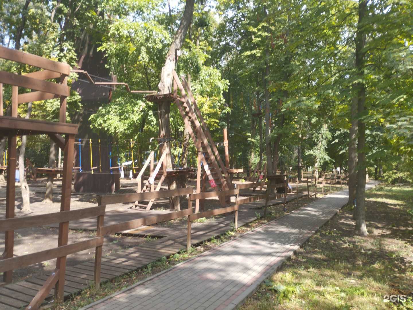 Отзывы на компанию Джунгли в Ростове-на-Дону c фото