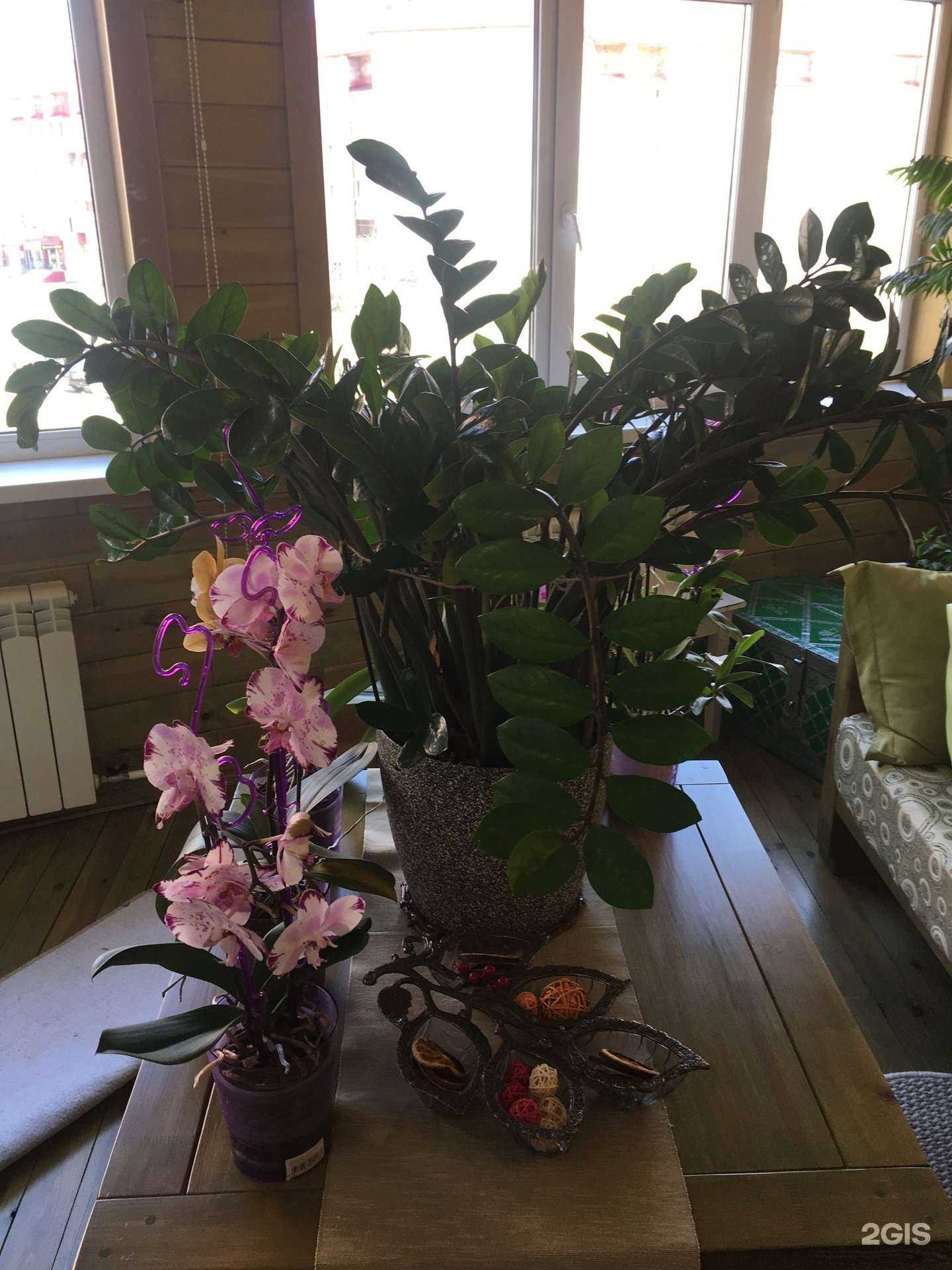 Отзывы на компанию Азбука чистоты и низких цен в г. Тюмень c фото