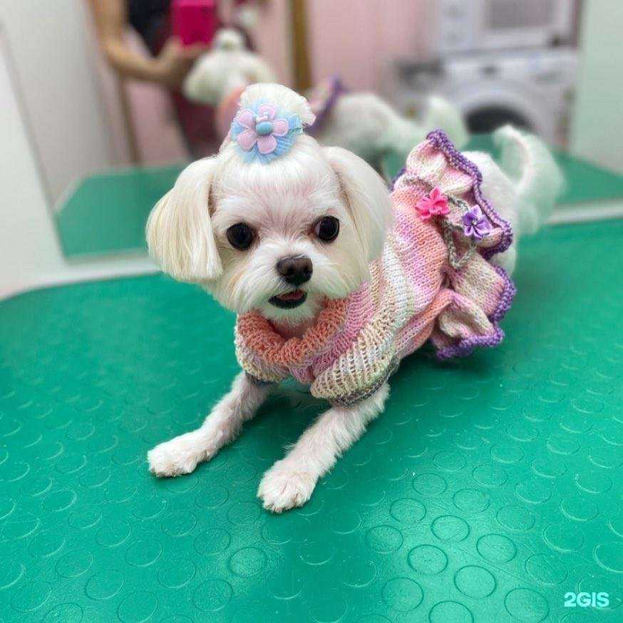 Отзывы на компанию Классик в г. Арзамас c фото