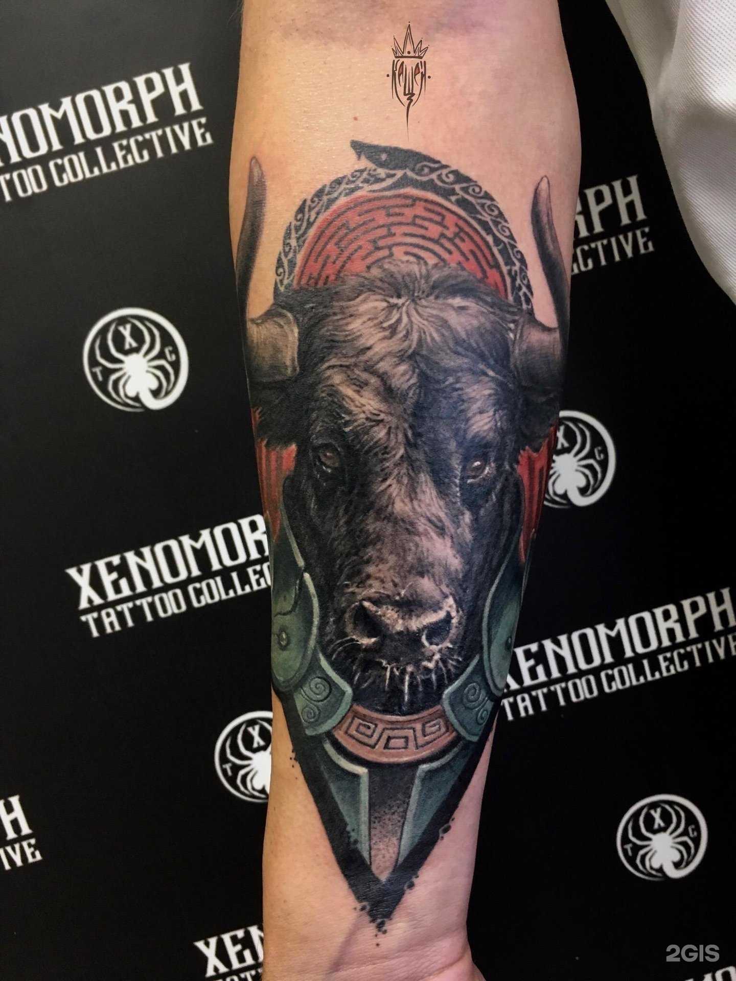 Отзывы на компанию Xenomorph tattoo collective в Нижнем Новгороде c фото