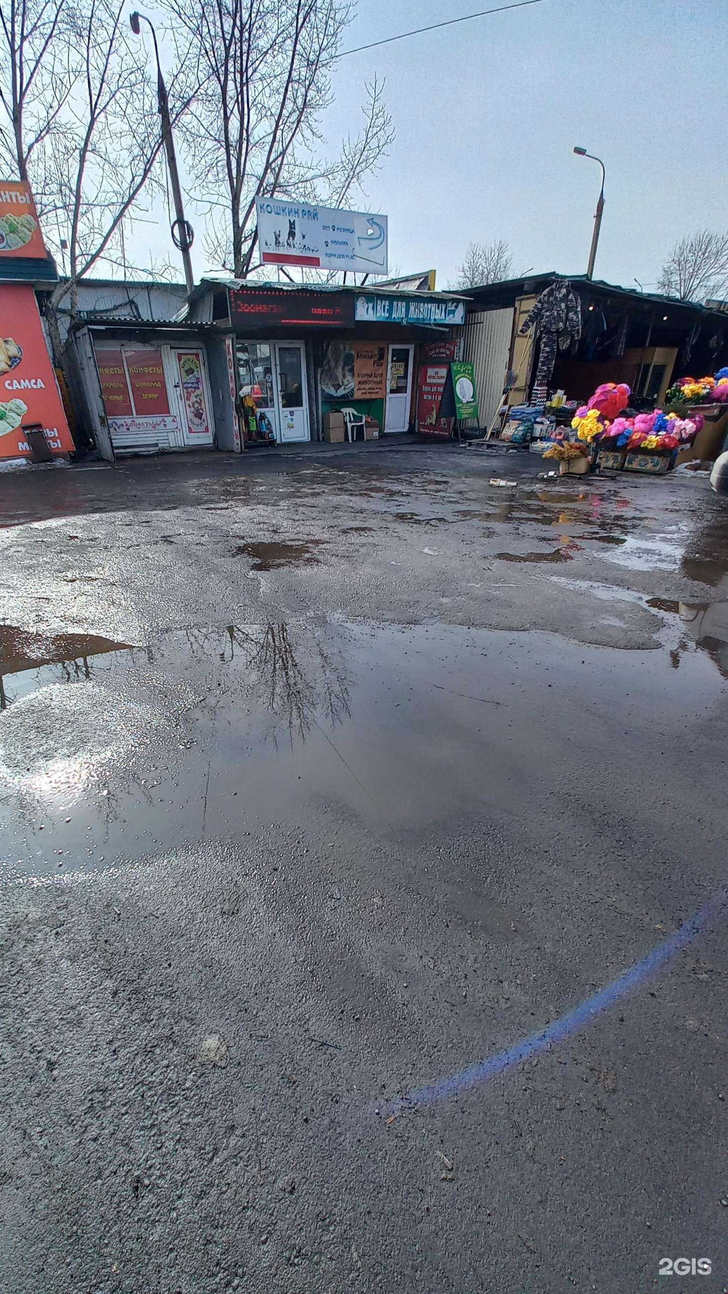 Отзывы на компанию Кошкин рай в г. Иркутск c фото