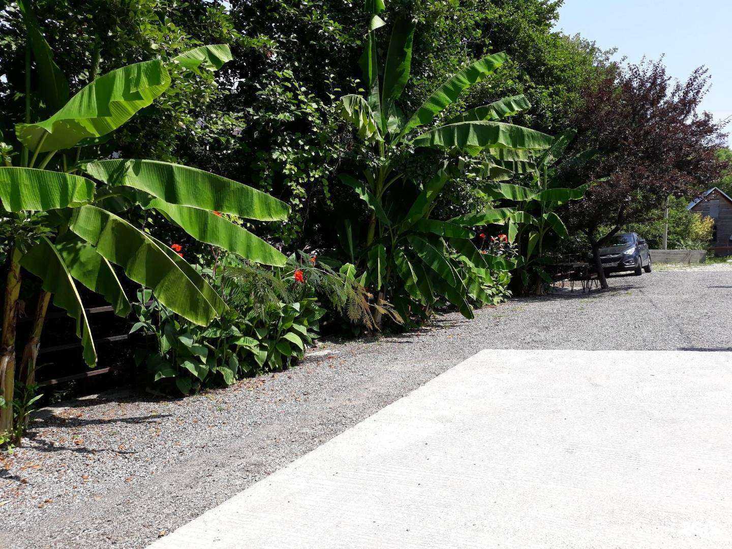 Отзывы на компанию Розалия в Сочи c фото - фотография 2 из 2