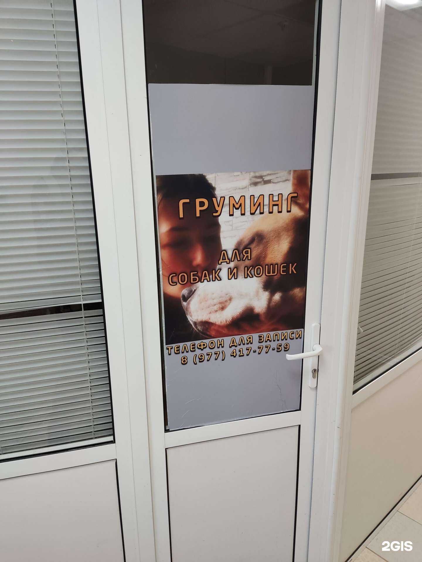 Отзывы на компанию Груминг-салон в Балашихе c фото