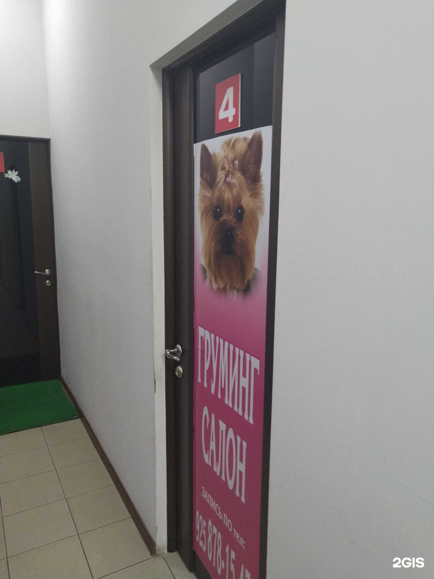 Отзывы на компанию Салон груминга в г. Раменское c фото