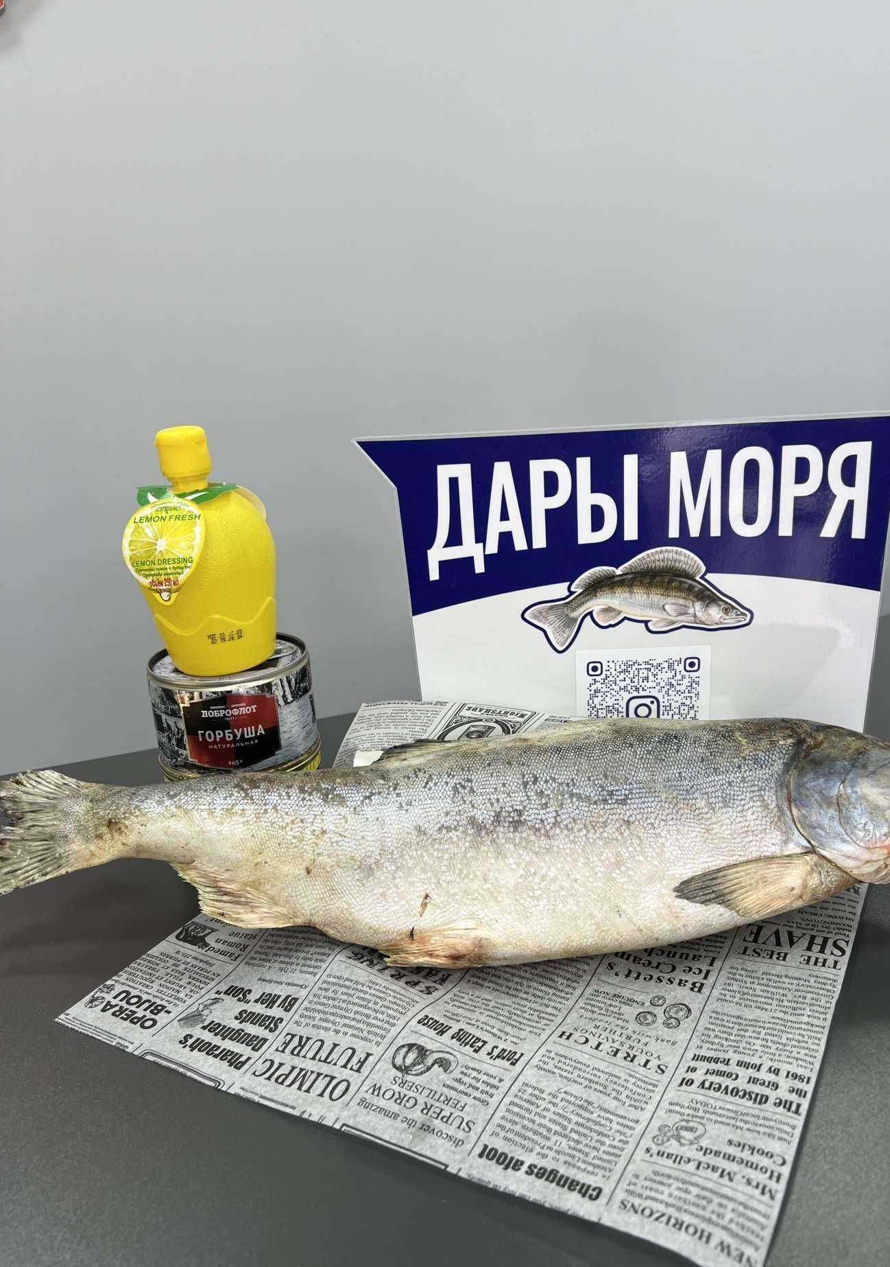 Отзывы на компанию Дары Моря в г. Краснодар c фото