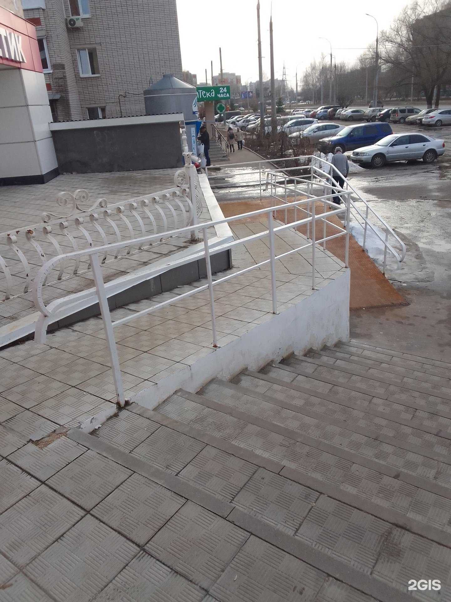 Отзывы на компанию Ёлки-Пальмы в Владимире c фото - фотография 2 из 2