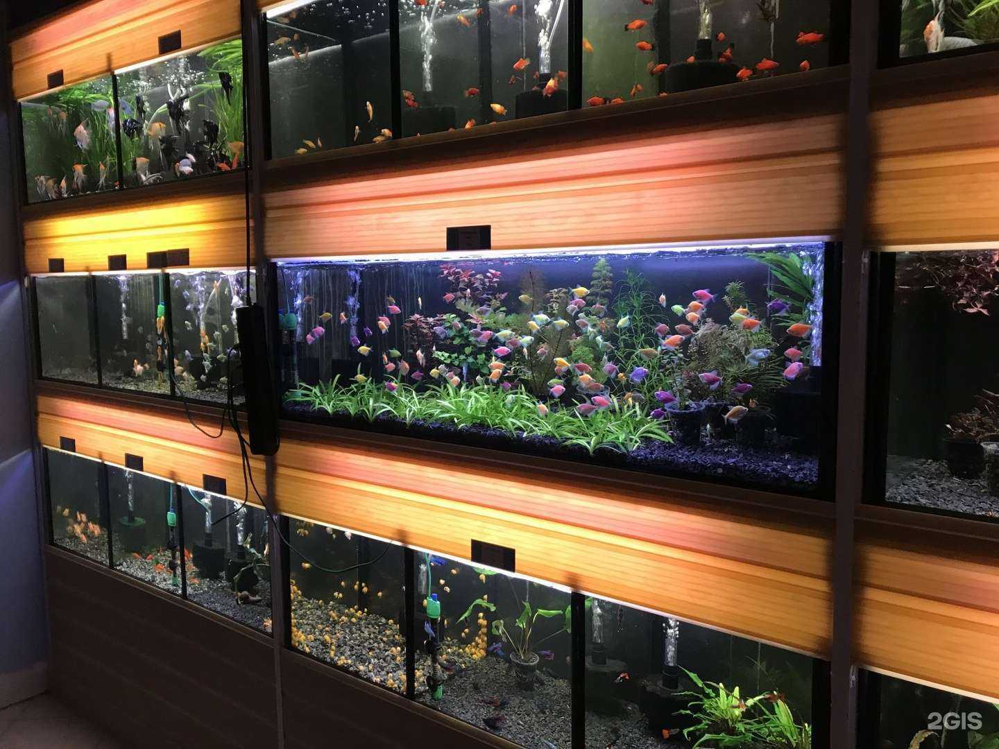 Отзывы на компанию Амазонка в Калининграде c фото