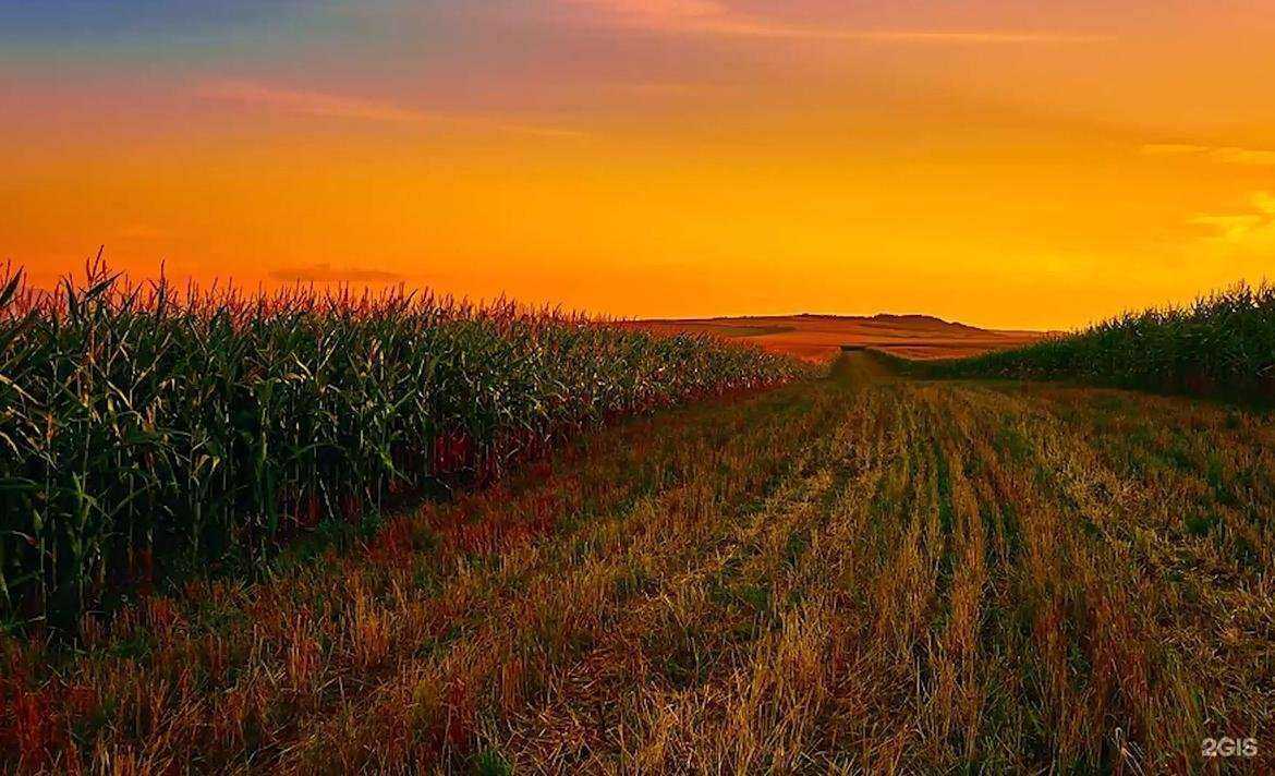 Отзывы на компанию Геомир в Воронеже c фото