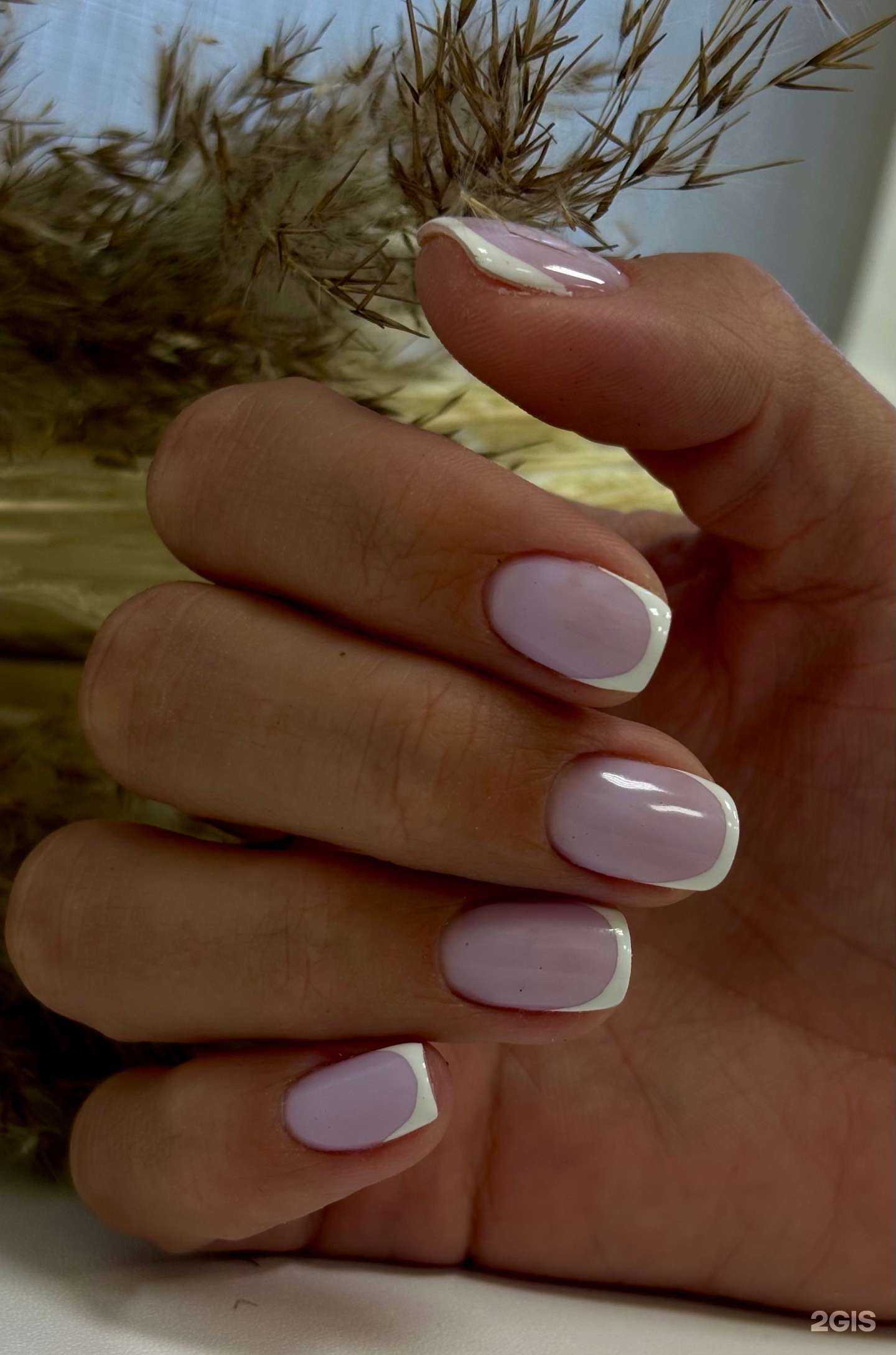 Отзывы на компанию Ногтевая студия в Волгограде c фото