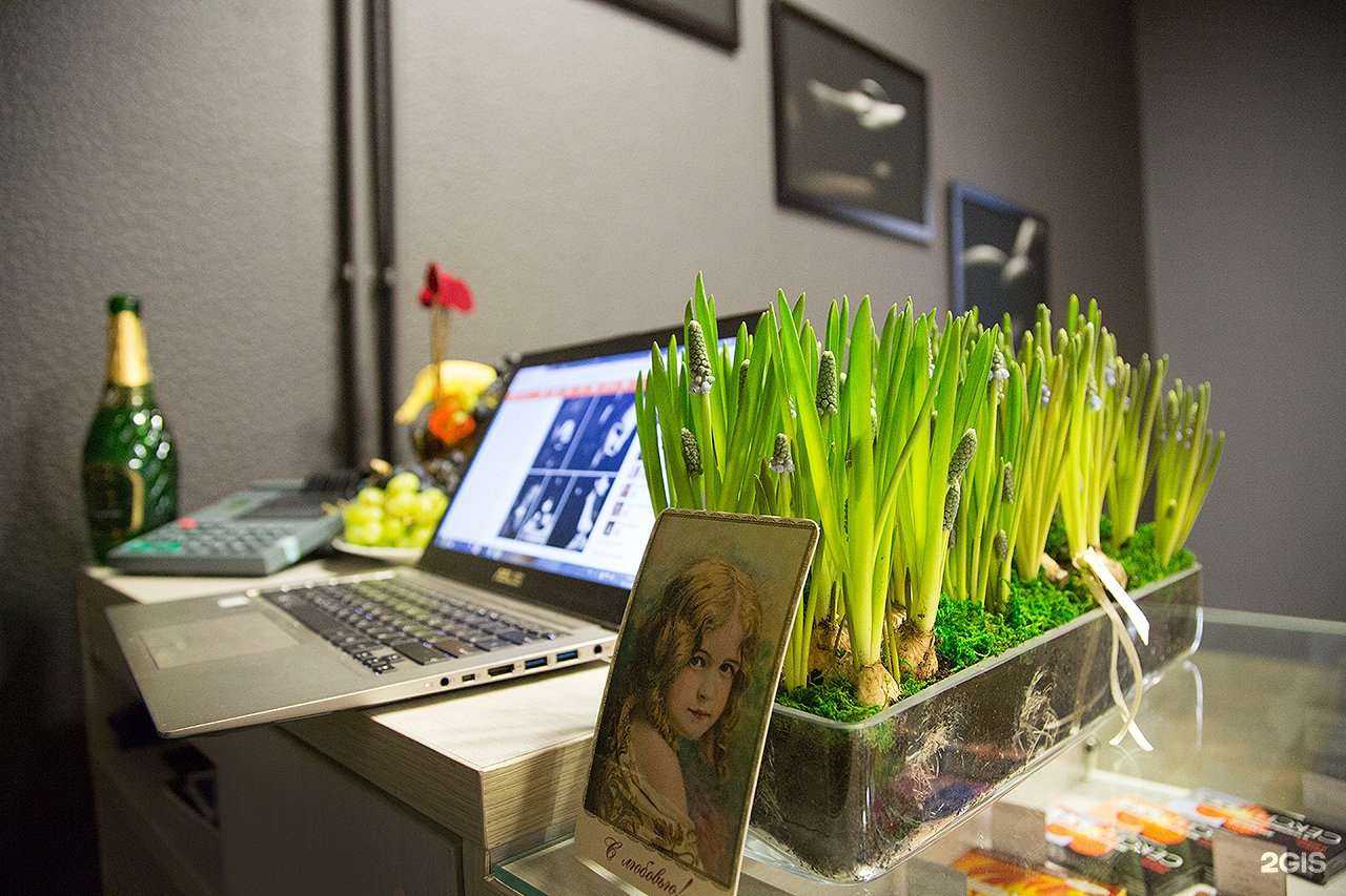 Отзывы на компанию Miko 18+ в г. Чита c фото