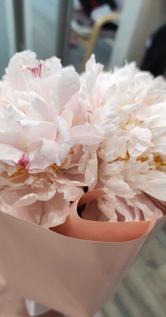 Отзывы на компанию Доставка Цветов.Ру в Нижнем Новгороде c фото