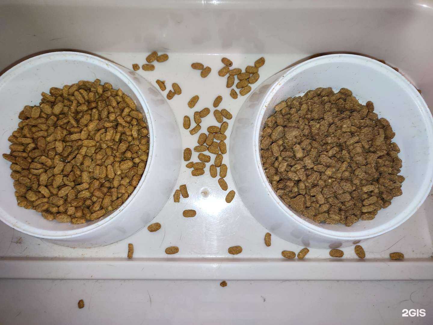 Отзывы на компанию Багира в г. Уфа c фото