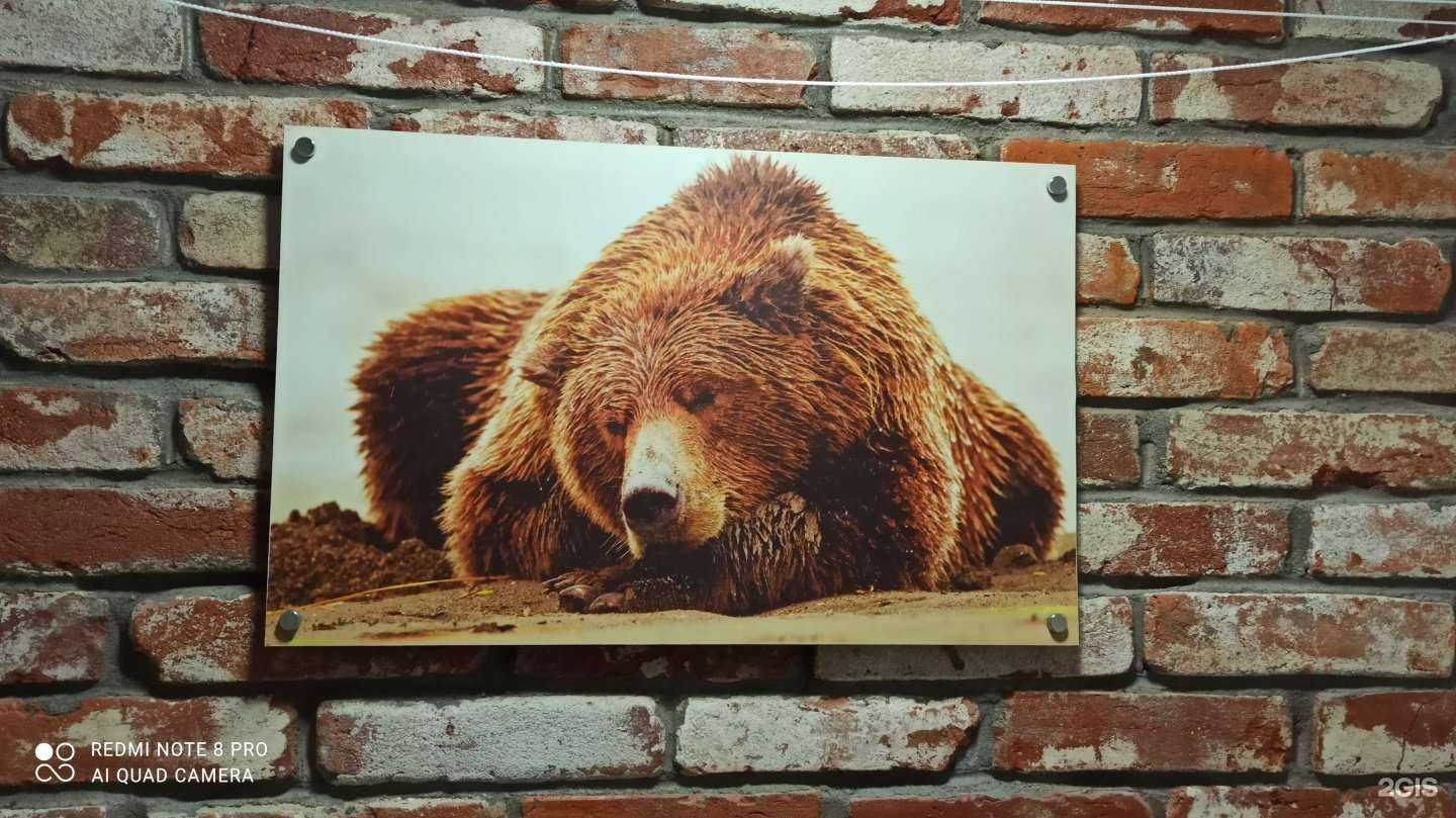 Отзывы на компанию Берлога в Артёме c фото