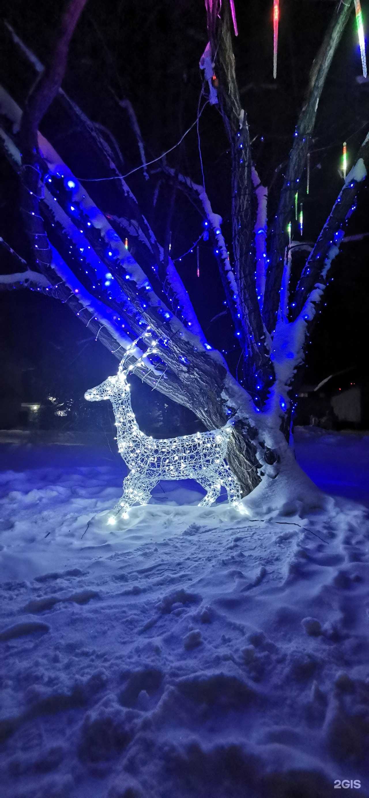 Отзывы на компанию Ангара в Иркутске c фото