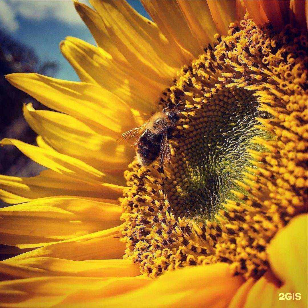 Отзывы на компанию ГК Оникс в г. Краснодар c фото