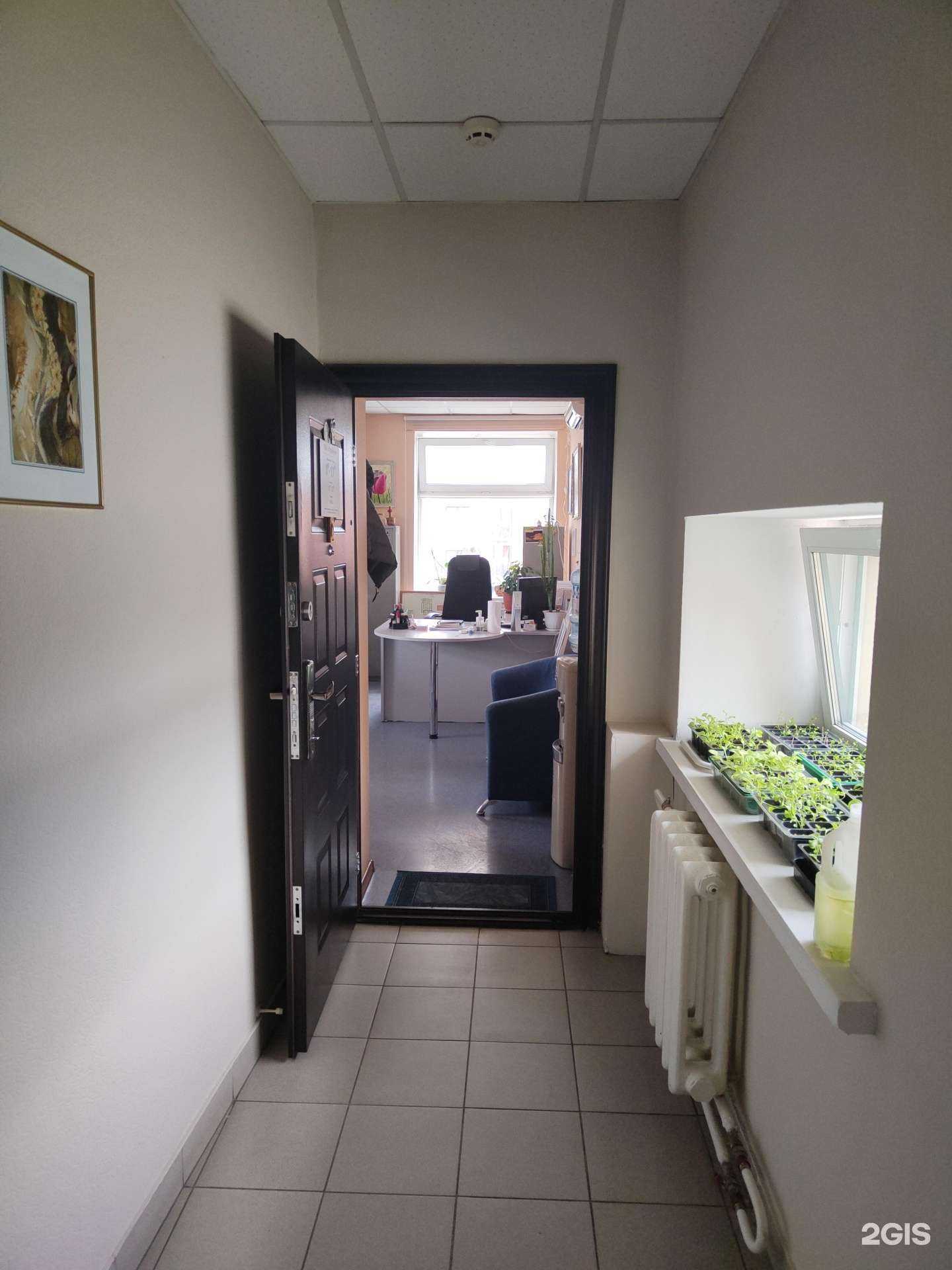 Отзывы на компанию Дирижабль в Новосибирске c фото