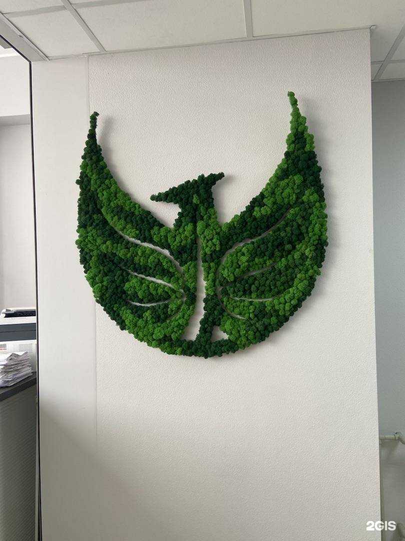 Отзывы на компанию Daya group в г. Краснодар c фото