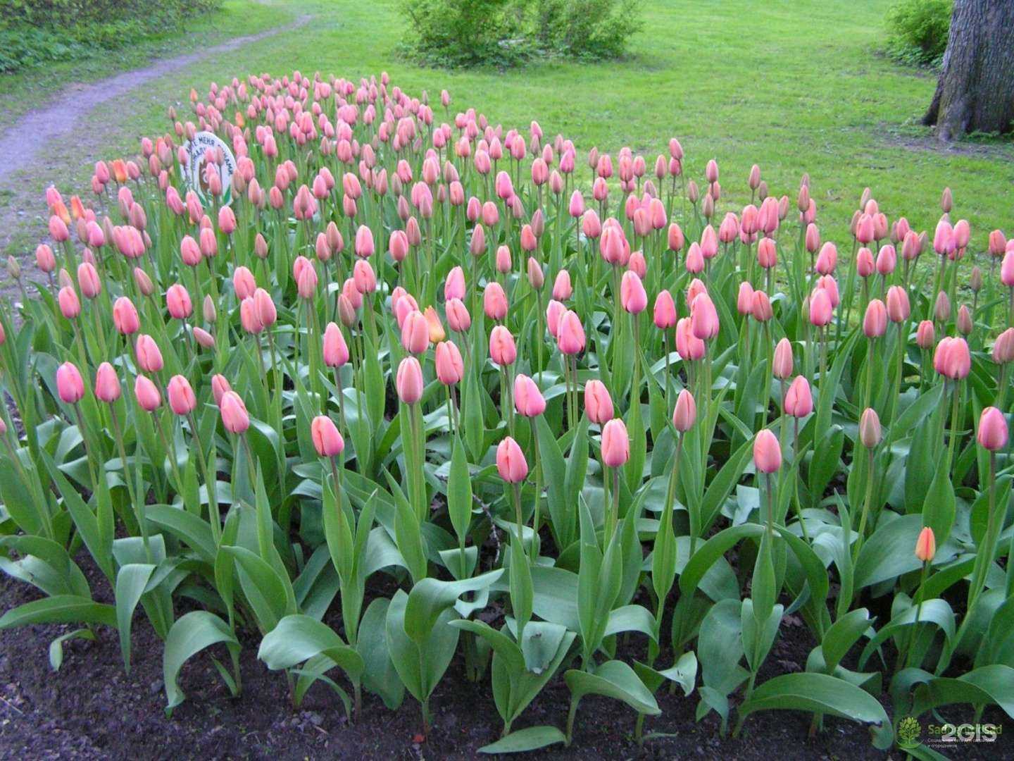 Отзывы на компанию Агромир в г. Тольятти c фото