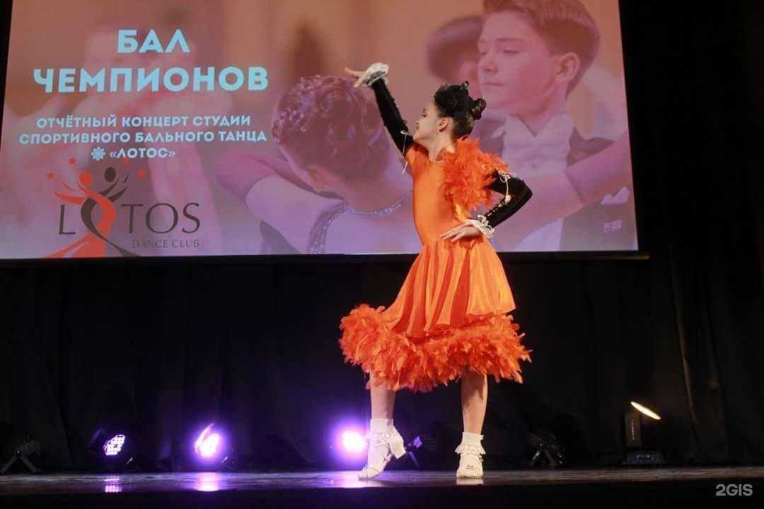 Отзывы на компанию Лотос Химки в Химках c фото