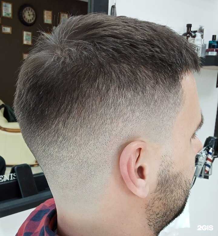 Отзывы на компанию Professor  в Сочи c фото