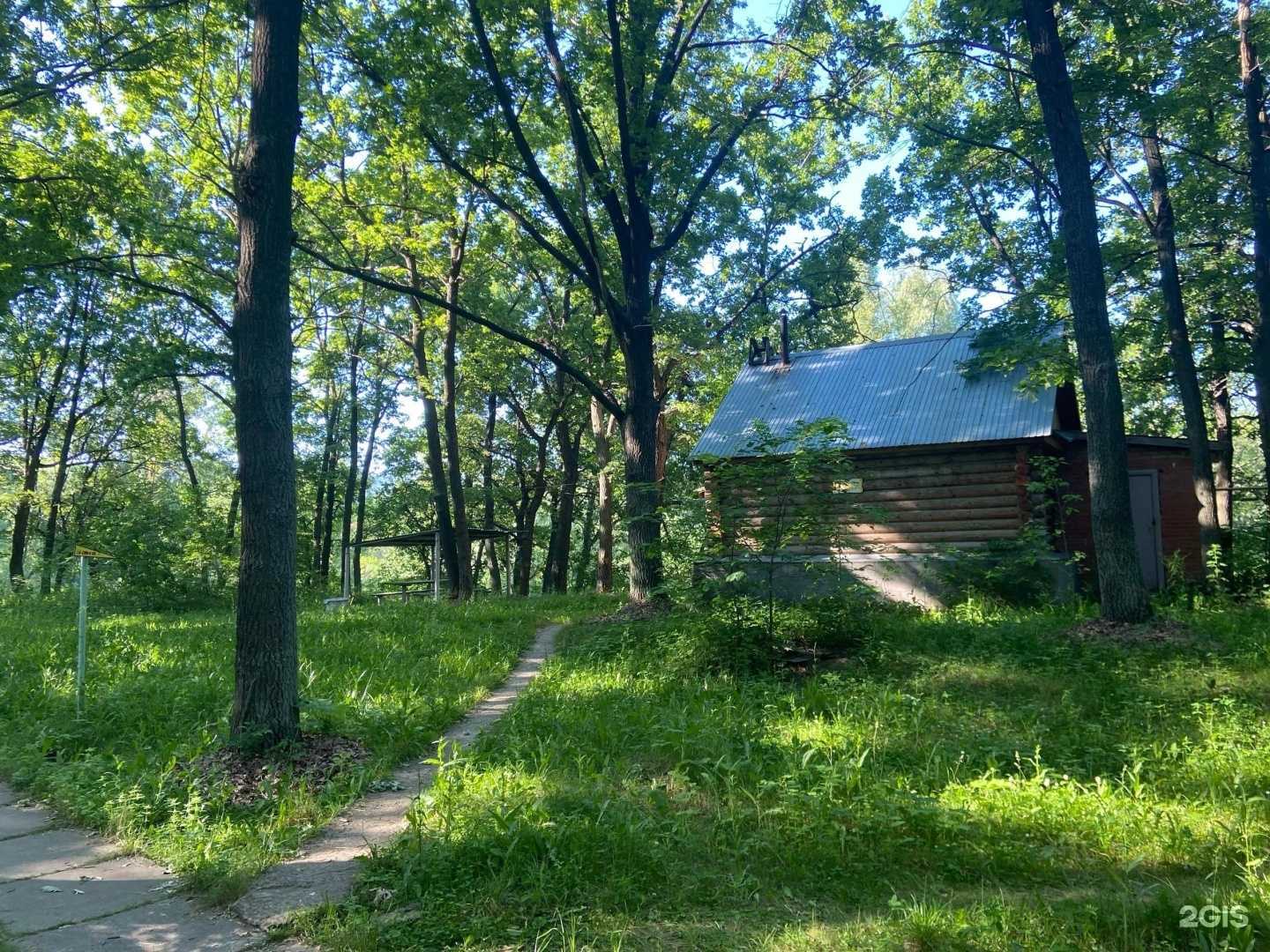 Отзывы на компанию Калинка в Самаре c фото