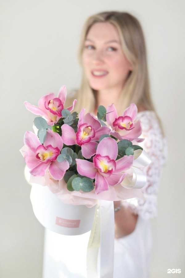 Отзывы на компанию Фестиваль в Казани c фото