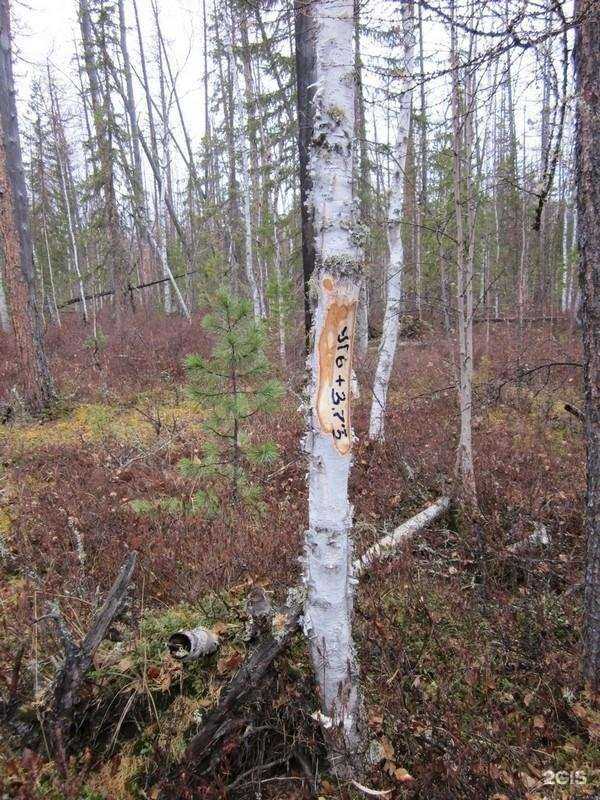 Отзывы на компанию Земля и Право в г. Иркутск c фото