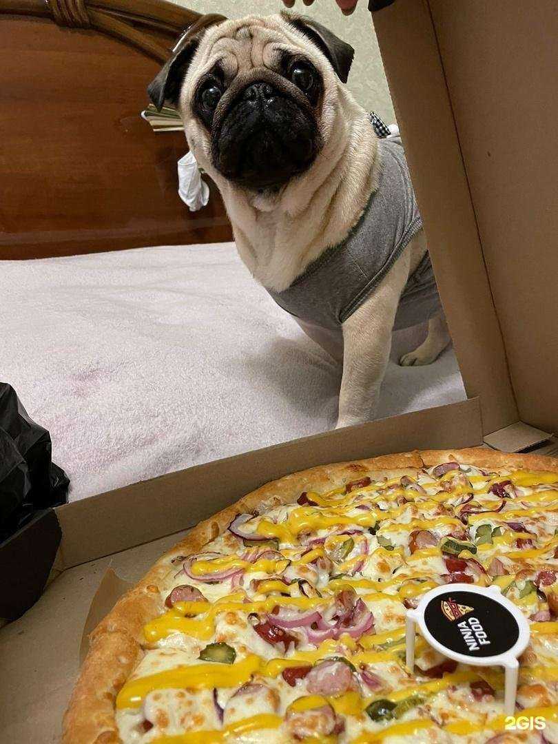 Отзывы на компанию NinjaFood в Курске c фото