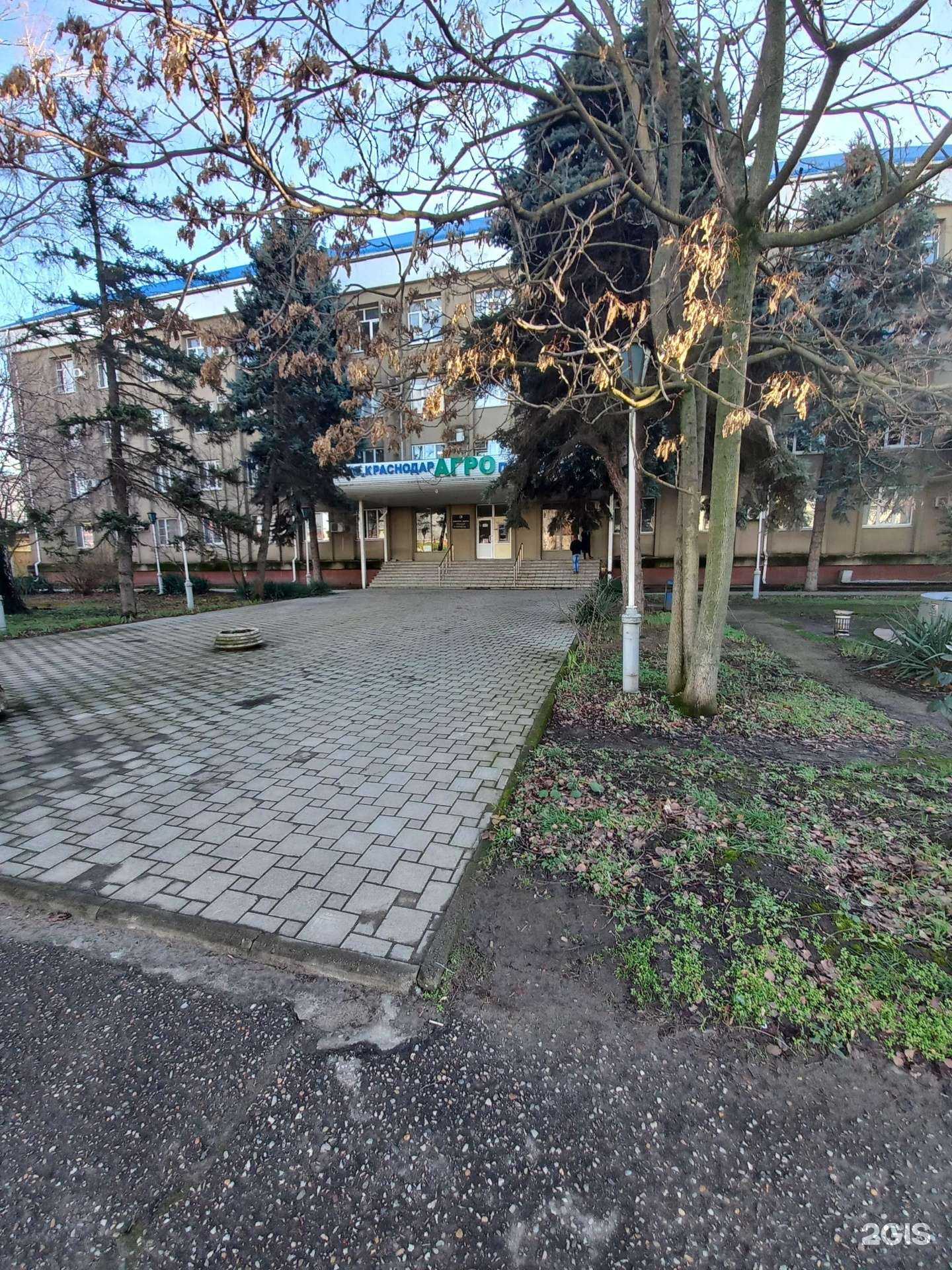 Отзывы на компанию Союз авто в г. Краснодар c фото