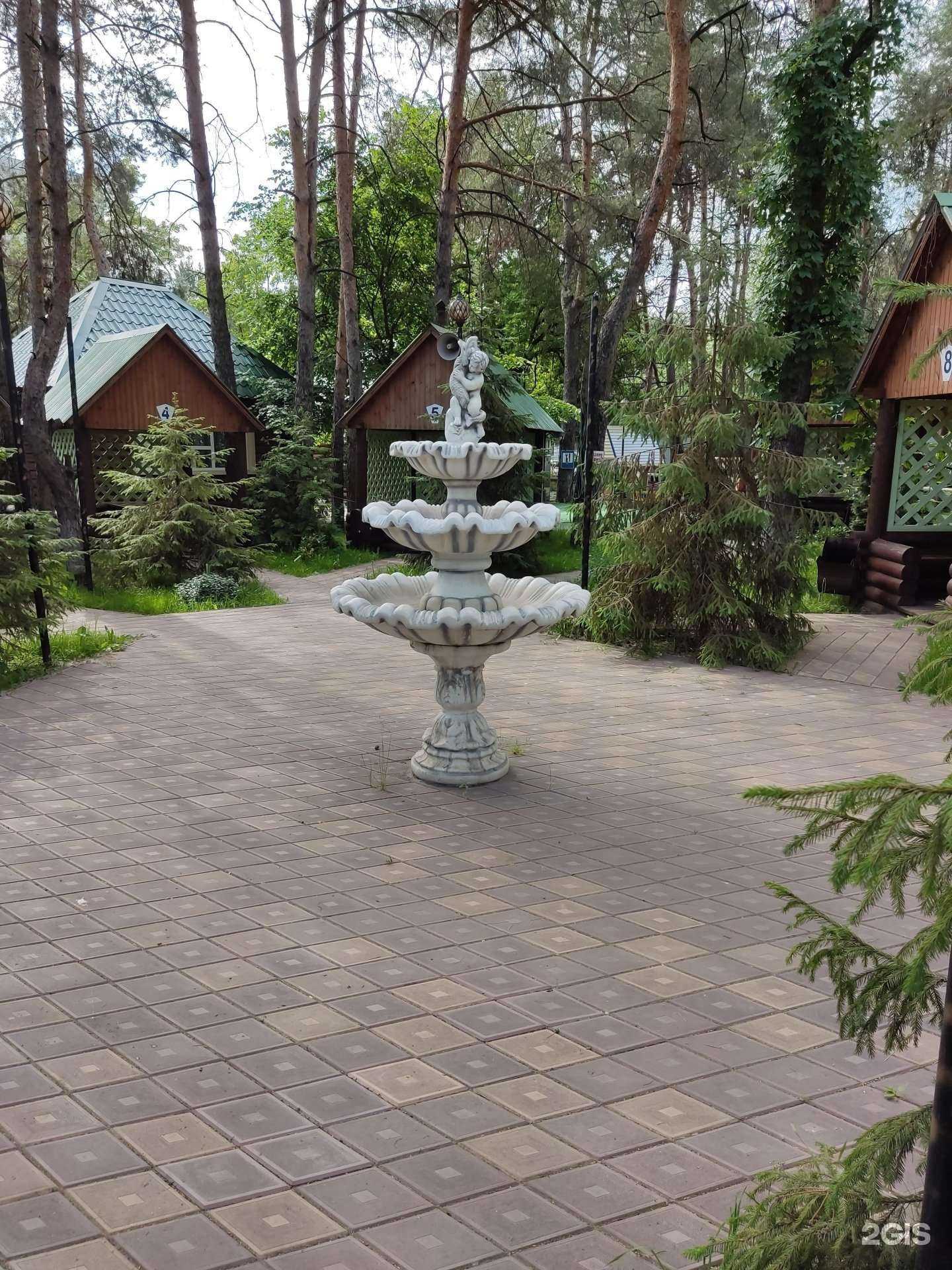 Отзывы на компанию Борок в Димитровграде c фото