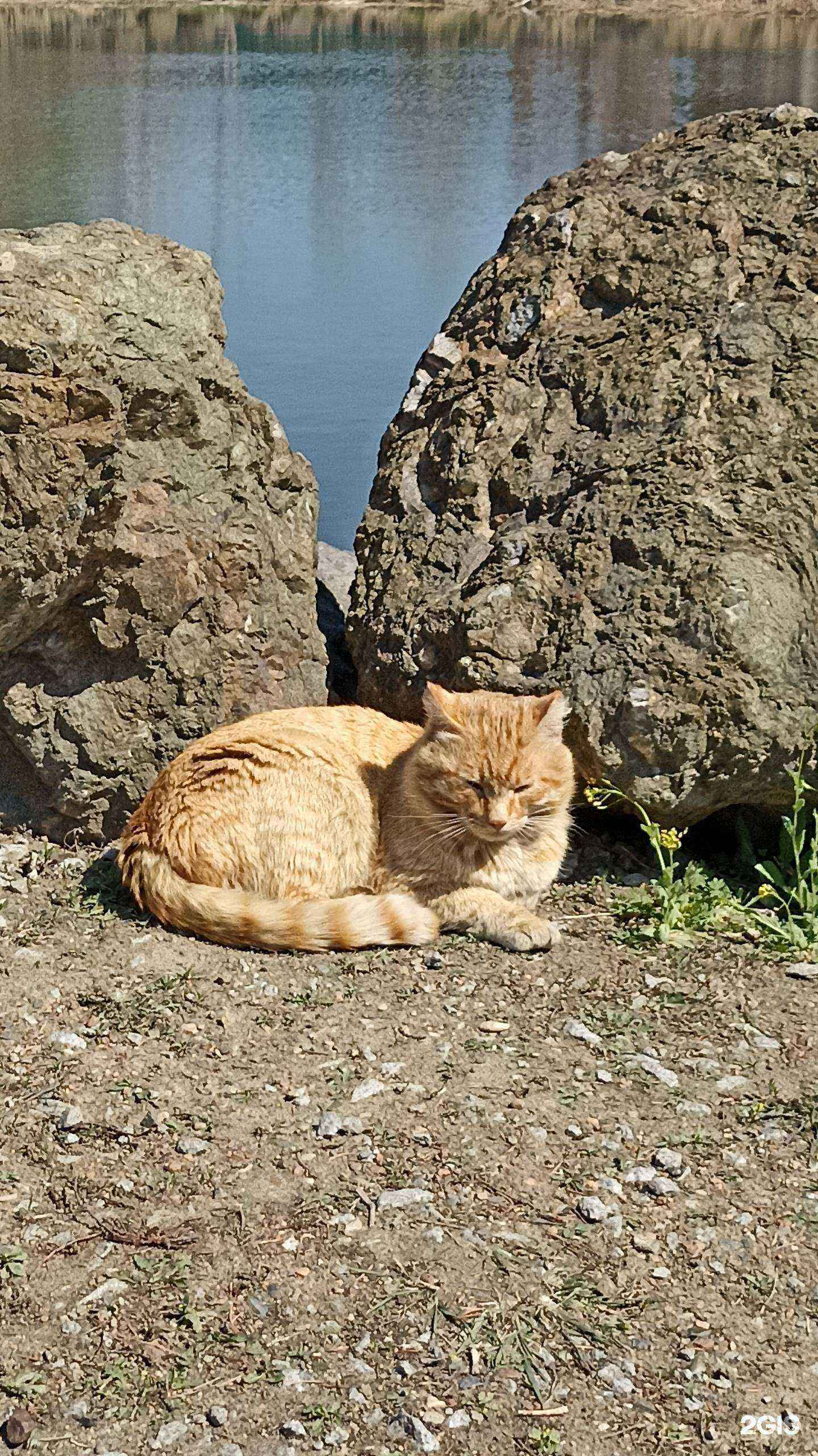 Отзывы на компанию Арагон в Хабаровске c фото - фотография 2 из 2