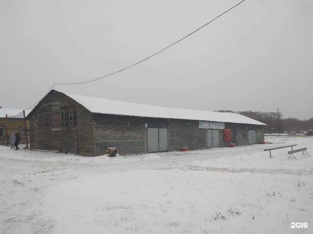 Отзывы на компанию СШОР №3 в г. Омск c фото