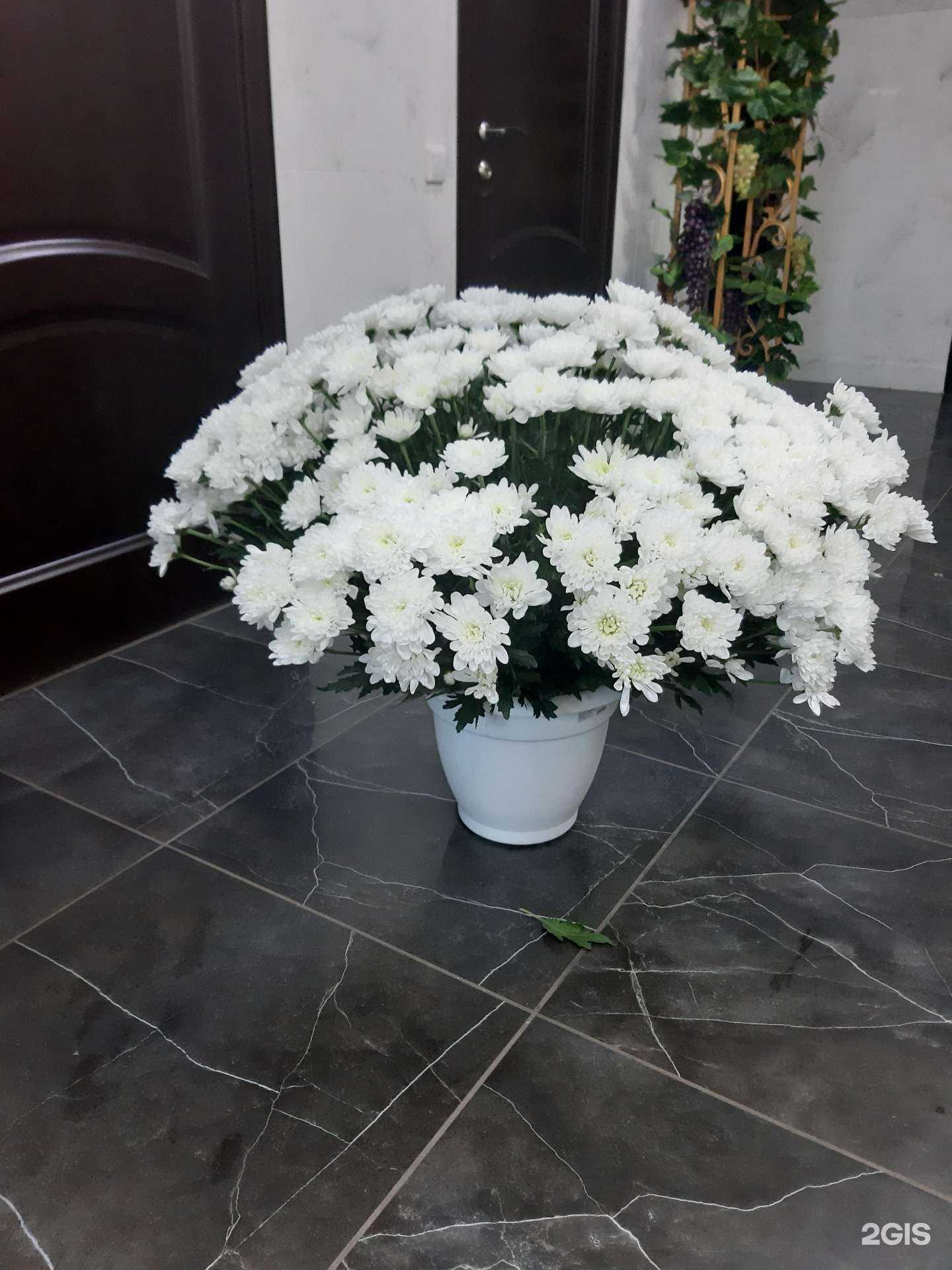 Отзывы на компанию Ритуал в г. Новокузнецк c фото