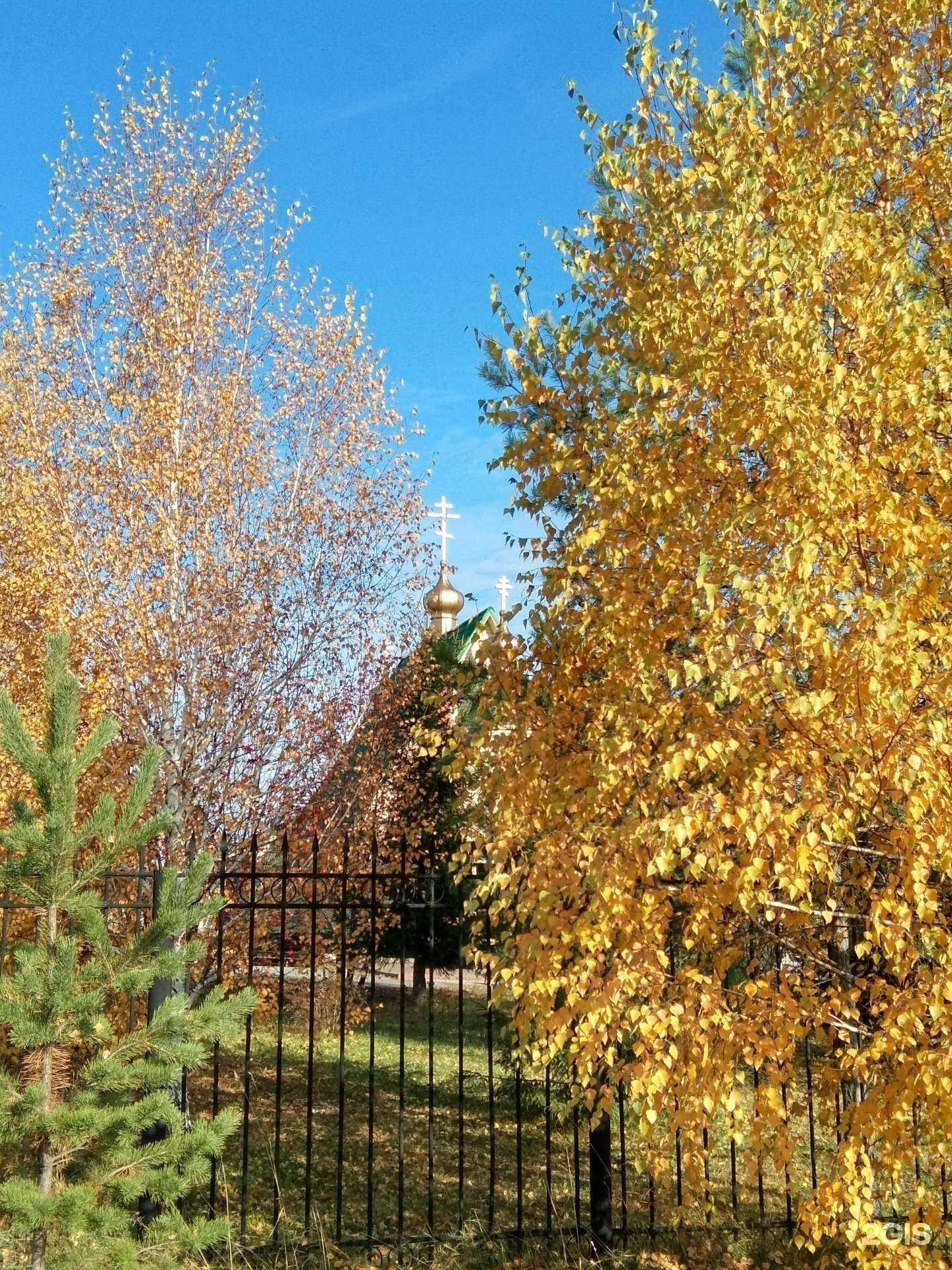 Отзывы на компанию Эдель в Кемерове c фото